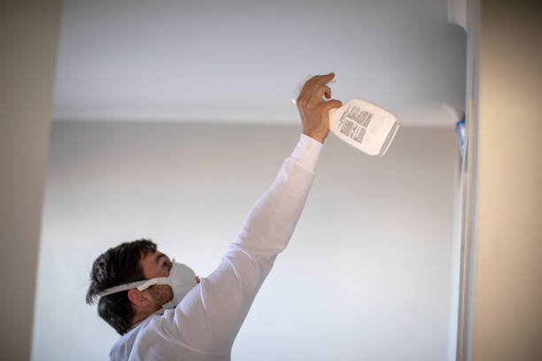 Best Attic Mold Remediation in Falmouth, VA